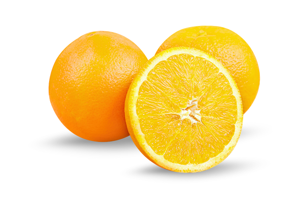 Washington Navel Orange