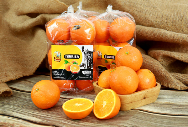 TERRISA Premier U.S.A. Oranges