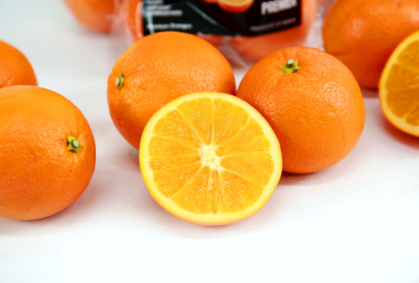 TERRISA Premier U.S.A. Oranges