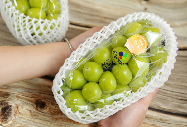 TERRISA Classic Shine Muscat Korean Grapes