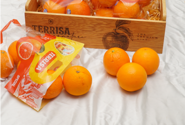 TERRISA Special Cara Cara Australian Oranges