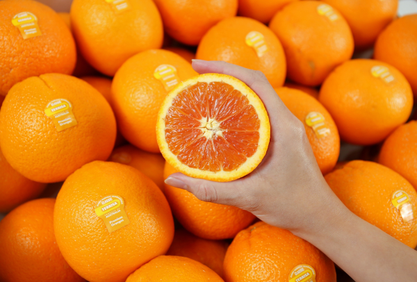 TERRISA Special Cara Cara Australian Oranges