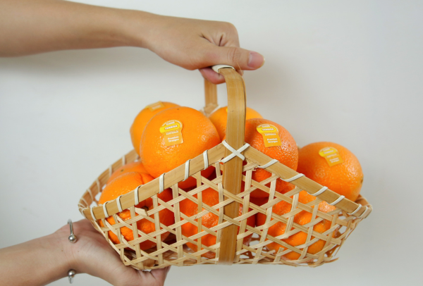 TERRISA Special Cara Cara Australian Oranges