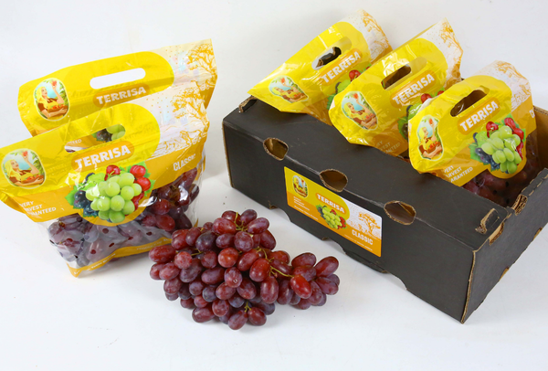 TERRISA Classic South African Red Grapes