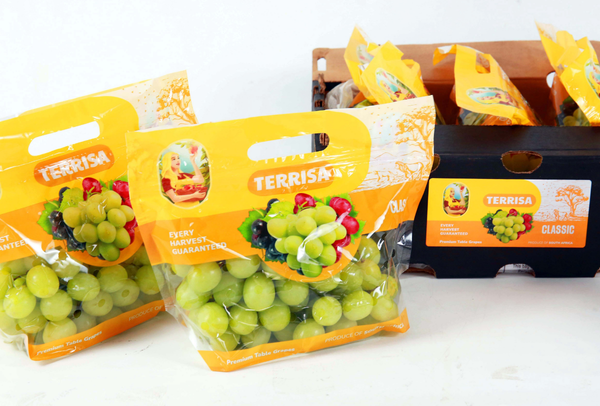 TERRISA Clasic South African Green Grapes