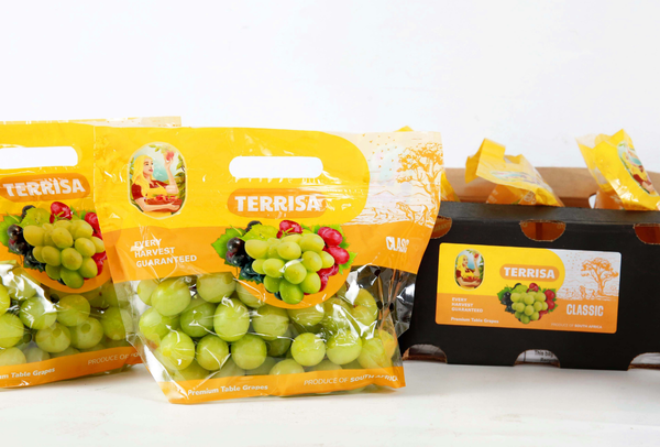 TERRISA Clasic South African Green Grapes
