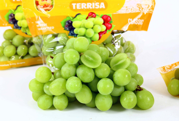 TERRISA Clasic South African Green Grapes