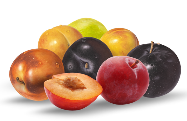 Plums