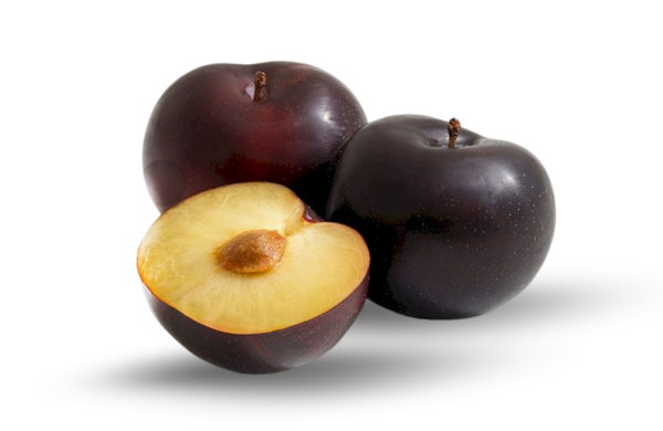 Black Ruby Plum