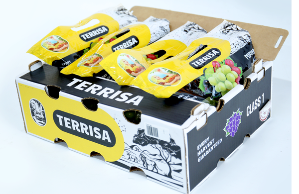 TERRISA Premier South African Green Grapes