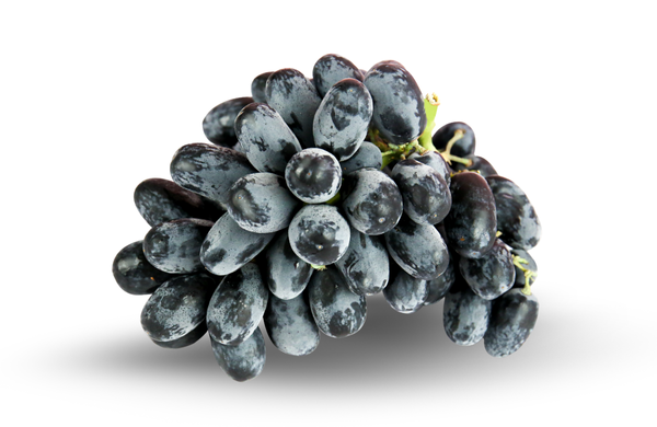Midnight Beauty Grape