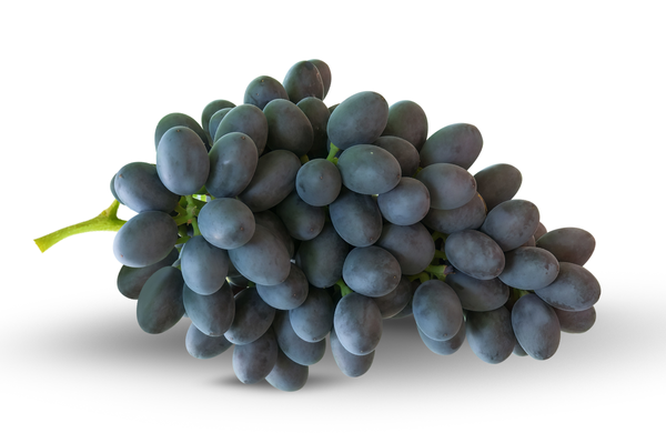 Sweet Joy Grape