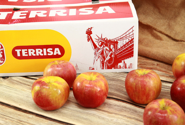 TERRISA Special EverCrisp U.S.A. Apples