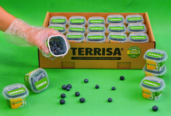 TERRISA Organic U.S.A. Blueberries