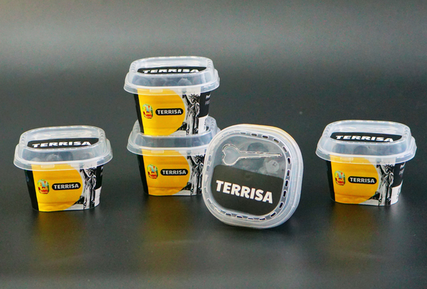 TERRISA Premier U.S.A. Blueberries