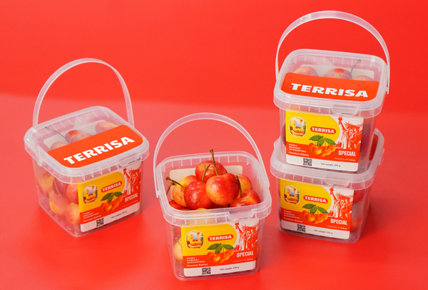 TERRISA Special Rainier U.S.A. Cherries