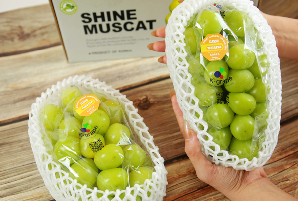 TERRISA Classic Shine Muscat Korean Grapes