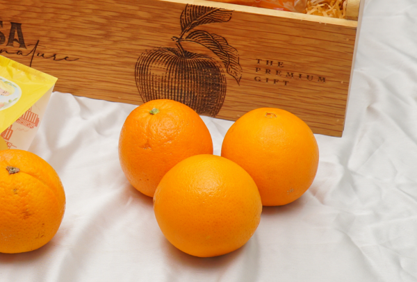 TERRISA Special Cara Cara Australian Oranges