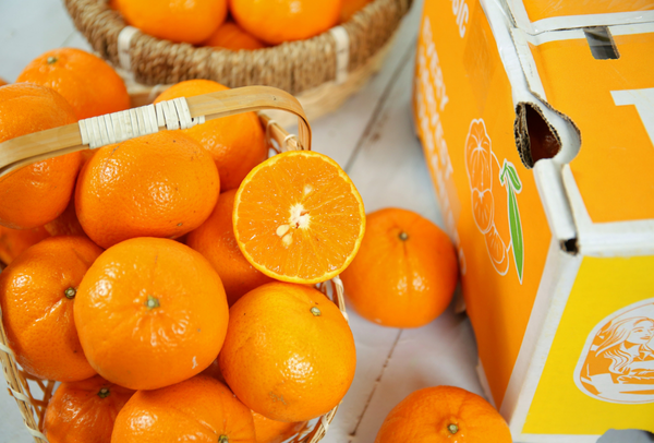 TERRISA Classic Australian Mandarins