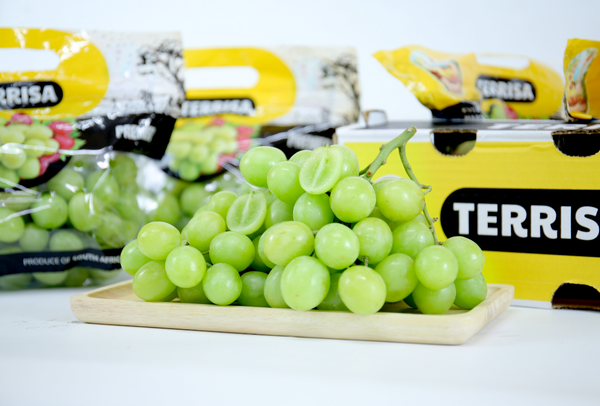 TERRISA Premier South African Green Grapes