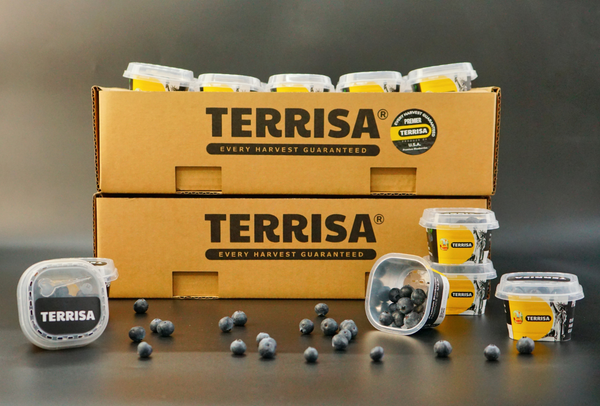 TERRISA Premier U.S.A. Cherries