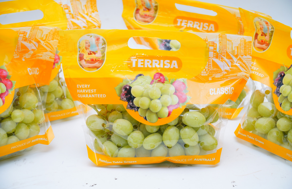 TERRISA Classic Australian Green Grapes