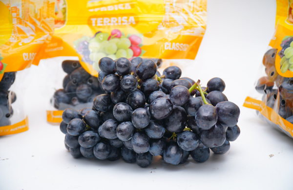 TERRISA Classic Australian Black Grapes