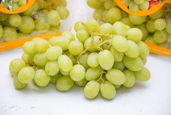 TERRISA Classic Australian Green Grapes