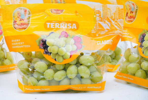 TERRISA Classic Australian Green Grapes