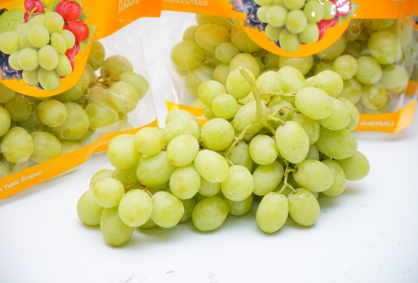 TERRISA Classic Australian Green Grapes