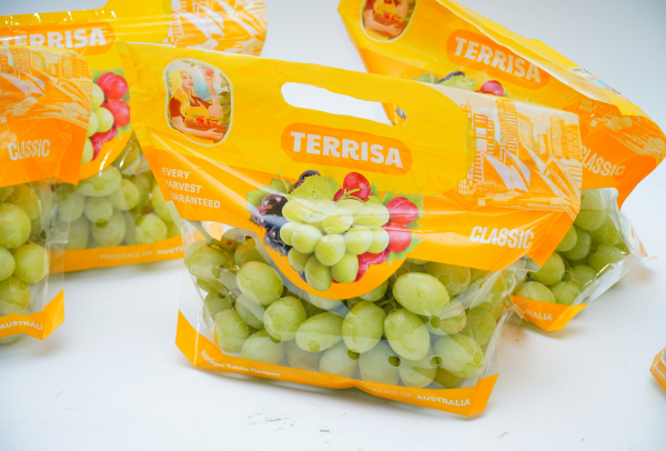 TERRISA Classic Australian Green Grapes