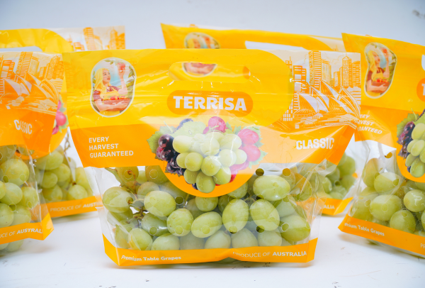 TERRISA Classic Australian Green Grapes