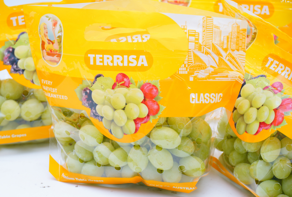TERRISA Classic Australian Green Grapes