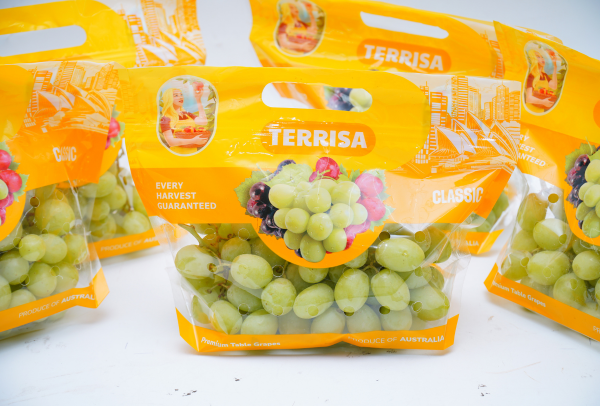 TERRISA Classic Australian Green Grapes