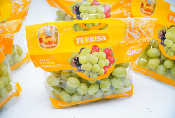TERRISA Classic Australian Green Grapes