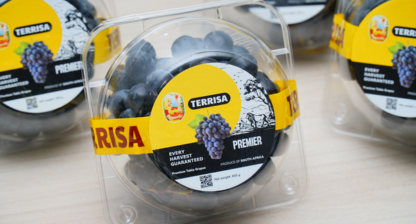 Nho đen Nam Phi TERRISA Premier 